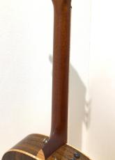 Taylor Custom GPe Lutz Spruce / Laurelwood_8