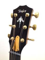 Taylor Custom GP Lutz Spruce/Sassafras_3