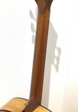 Taylor Custom GP Lutz Spruce/Sassafras_8