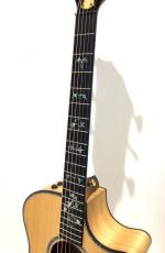 Taylor Custom GAce Lutz Spruce / Sassafras_4