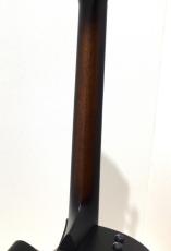 Taylor Builder's Edition 314ce 50th Anniversary_7