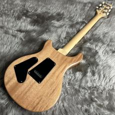Paul Reed Smith [PRS] E Custom24 -Slate Blue【現物画像】【最大36回分割無金利】_6
