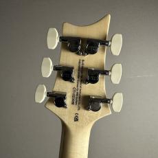 Paul Reed Smith [PRS] E Custom24 -Slate Blue【現物画像】【最大36回分割無金利】_8