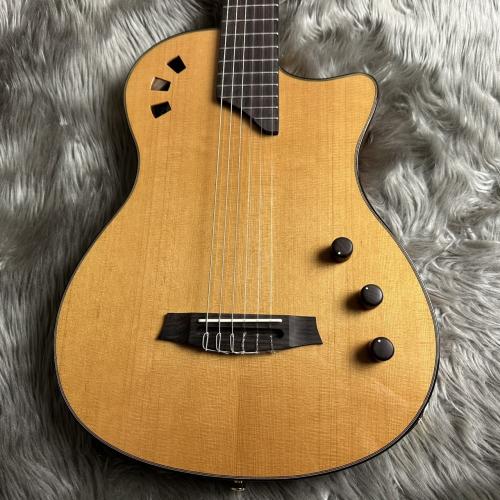 Cordoba Stage Traditional Ceder エレガット 【現物画像】【最大36回分割無金利 実施中】