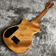 Cordoba Stage Traditional Ceder エレガット 【現物画像】【最大36回分割無金利 実施中】_6
