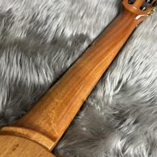 Cordoba Stage Traditional Ceder エレガット 【現物画像】【最大36回分割無金利 実施中】_10