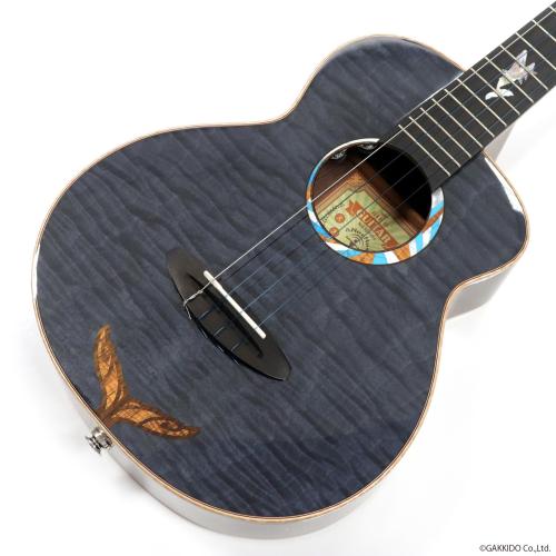 aNueNue KYAS Signature Model aNN-BWhale4 E (s/n AP12891) 【特典付き】