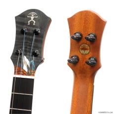 aNueNue KYAS Signature Model aNN-BWhale4 E (s/n AP12891) 【特典付き】_6