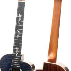 aNueNue KYAS Signature Model aNN-BWhale4 E (s/n AP12891) 【特典付き】_7