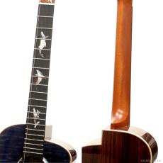 aNueNue KYAS Signature Model aNN-BWhale4 E (s/n AO12624) 【特典付き】_7