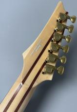 Ibanez VISIONS IV2RG #A26303【Made in JAPAN】【"フレイム"コリーナ!】【スルーネック】【極杢】【4.14kg】_11