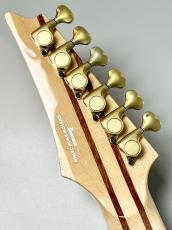 Ibanez VISIONS IV1RG #F25314【Made in JAPAN】【某工房製】【スルーネック】【極杢個体】【4.10kg】_6