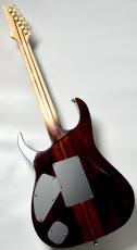 Ibanez VISIONS IV1RG #F25314【Made in JAPAN】【某工房製】【スルーネック】【極杢個体】【4.10kg】_9