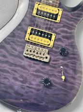 Paul Reed Smith [PRS] 【USED】SE Custom 24  2013年製【3.50kg】_2