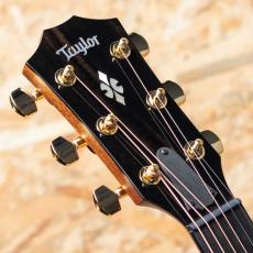 Taylor Next Generation 714ce_8