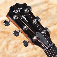Taylor Japan Limited 514ce Black Top_8