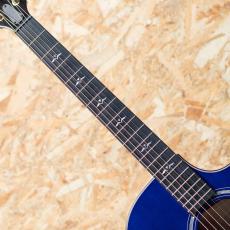 Taylor Japan Limited 614ce Royal Blue_6