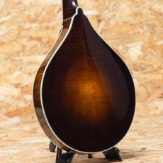 Quint QT-A5 Dark Burst_2