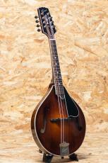Quint QT-A5 Dark Burst_3