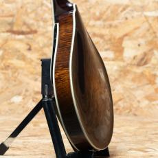 Quint QT-A5 Dark Burst_5