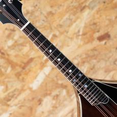 Quint QT-A5 Dark Burst_6