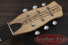 Danelectro Convertible TS_4