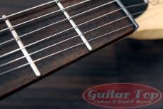 Danelectro Convertible TS_5