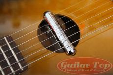 Danelectro Convertible TS_7