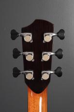 Peggy White PREMIER Cutaway_8