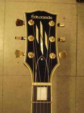 Edwards E-LP-CTM_5