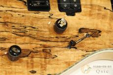 MAYONES Regius 6 Custom Spalted Maple Top 【返品OK】[TK717]_10