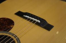 Eastman E1-OMCE-SP_9