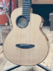 aNueNue aNN-M52E #AM01432 [トラベルサイズ]【店頭未展示品】【実物写真】《高性能ケーブルプレゼント!》【ONLINE STORE】