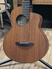 aNueNue aNN-M25E #AM12954 [トラベルサイズ]【店頭未展示品】【実物写真】《高性能ケーブルプレゼント!》【SALE!】【ONLINE STORE】