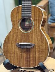 aNueNue aNN-AAA2 #AP11862【コンサートサイズ】【店頭未展示品】【実物写真】【ONLINE STORE】