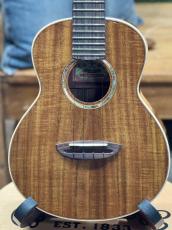 aNueNue aNN-AAA2 #AP11862【コンサートサイズ】【店頭未展示品】【実物写真】【ONLINE STORE】_2
