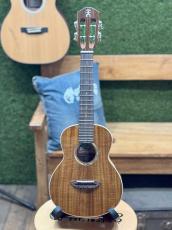 aNueNue aNN-AAA2 #AP11862【コンサートサイズ】【店頭未展示品】【実物写真】【ONLINE STORE】_3