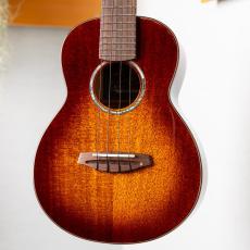 Singer RC1M_2