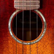 Singer RT1M_4