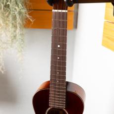 Singer RT1M_5