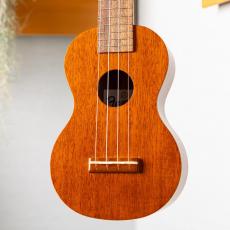Famous FLS-60_2