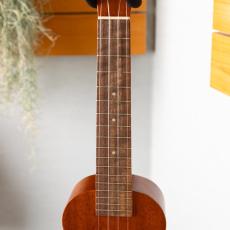 Famous FLS-60_4