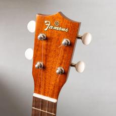 Famous FLS-60_5