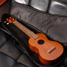 Famous FLS-60_12