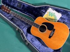 Martin D-35