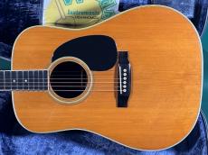 Martin D-35_2
