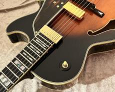 Ibanez 【NEW】George Benson GB10 Brown Sunburst sn F2505302 [3.53kg][ジョージ・ベンソン]【G-CLUB TOKYO】_6