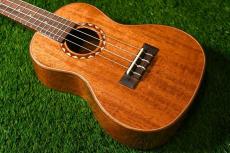 DCT DUC-600M Concert