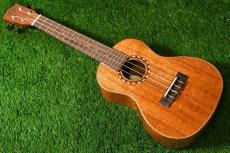 DCT DUC-600M Concert_2