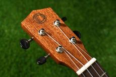 DCT DUC-600M Concert_5